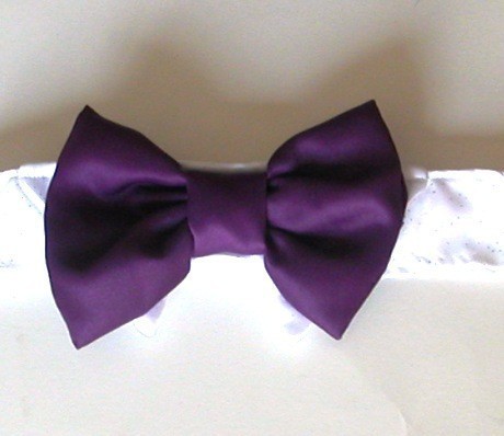 Dog Wedding Bow Tie: Purple Eggplant