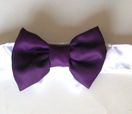 purple dog bow tie